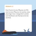 Dat Kölsche Dialekt Quiz 3