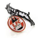 FC Vereinspin 1